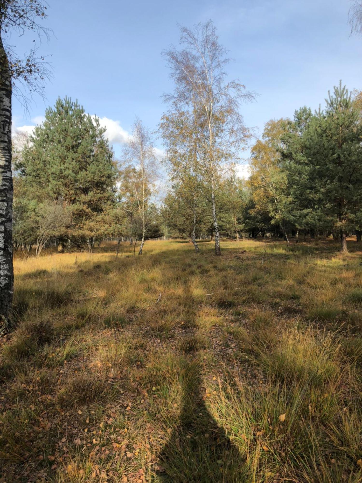 City Apparte Exklusiv - Direkt Am Antonius-Hospital - Stilvoll Wohnen Im Herzen Von Gronau Gronau  Bagian luar foto