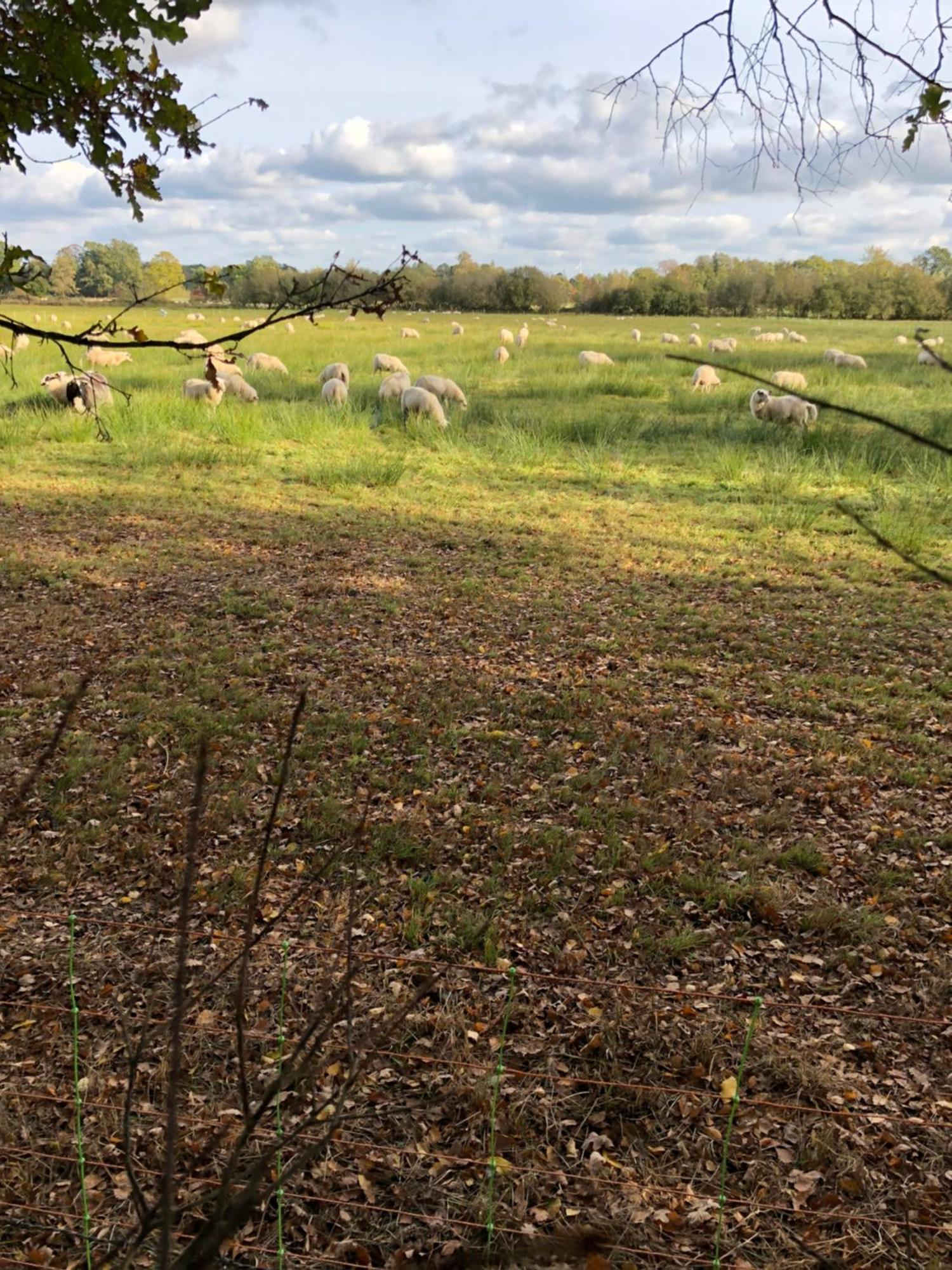 City Apparte Exklusiv - Direkt Am Antonius-Hospital - Stilvoll Wohnen Im Herzen Von Gronau Gronau  Bagian luar foto